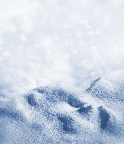 Preview: Snowy Landscape with Soft Blue Hues