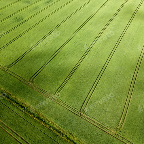 Preview: Drone Image. Aerial View Of Rural Area With Green Cultivated Fields In Summer Day, Shadows From