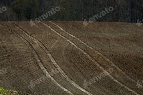 Preview: Processed Cereal Fields In Spring