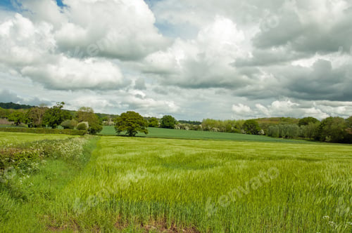 Preview: Springtime Crops And Clouds In The British Countryside.