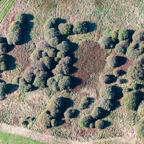 Preview: Aerial View Over The Bushes And Trees In Autumn