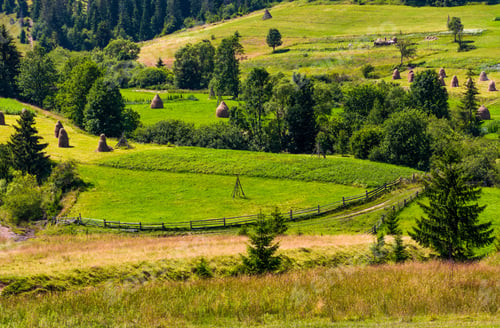 Preview: Agricultural Hills And Haystacks. Lovely Rural Scenery In Springtime. Outdated Industrial Approach