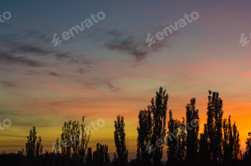 Preview: Landscape With Dramatic Light - Orange Clouds And The Outline Of Trees At Sunset