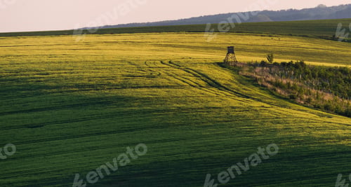 Preview: South Moravia Landscape And Farmland At Sunrise