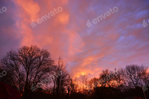 Preview: Colorful Sky And Tree Silhouettes At Sunset