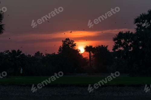 Preview: Sunset In Siem Reap, Cambodia