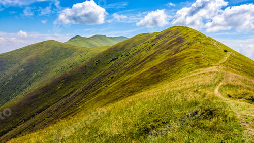 Preview: Winding Road Through Large Meadows On The Hillside Of Carpathian Mountain Range