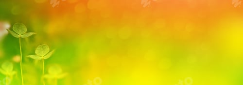 Preview: Green Clover Leaves On A Background Summer Landscape. St.Patrick 'S Day.