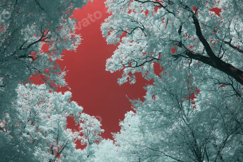 Preview: Infrared Landscape And Details