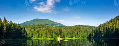 Preview: Panorama Of Synevyr Lake On Summer Morning. Gorgeous Scenery With Spruce Forest Reflecting On A
