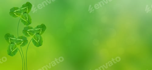 Preview: Green Clover Leaves On A Background Summer Landscape. St.Patrick 'S Day.