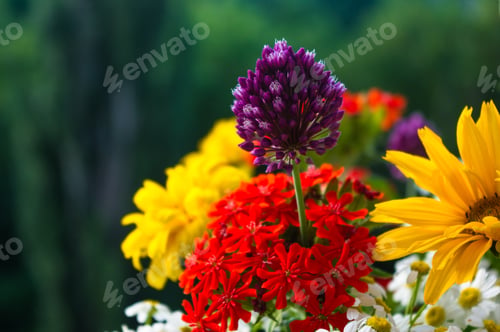 Preview: A Bouquet Of Bright Spring Flowers Of Various Types