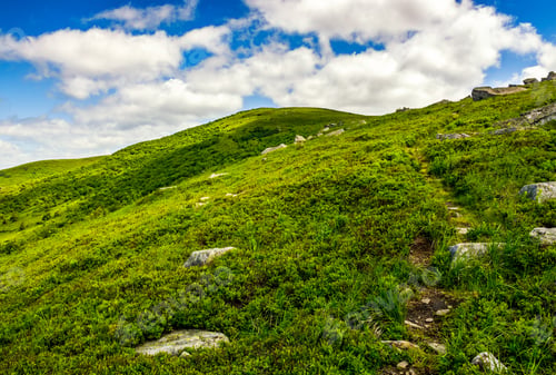 Preview: Summer Mountain Landscape. Footpath Uphill Through The Ridge To The Peak. Beautiful Nature Scene In