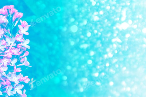 Preview: Bright And Colorful Flowers Lilac On The Background Of Spring Landscape.