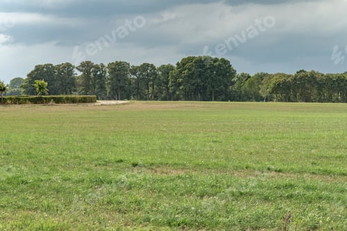 Preview: Meadow With Forest On Horizon Under Dark Cloudy Sky.