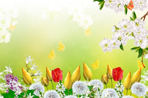 Preview: Floral Background With Bright Spring Flowers.