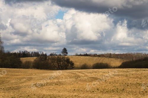 Preview: Processed Cereal Fields In Spring