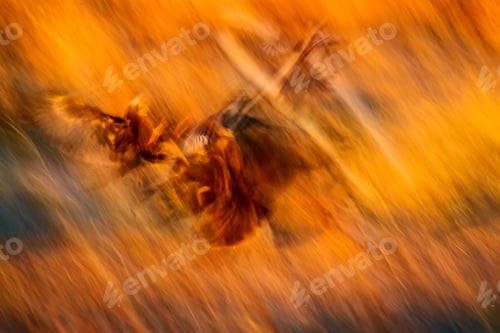Preview: Birds in Flight Captured with Motion Blur