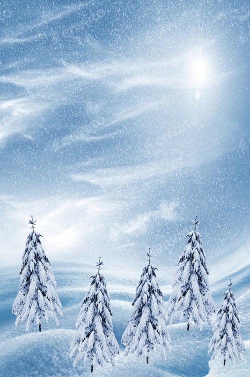 Preview: Winter Forest. Winter Landscape.