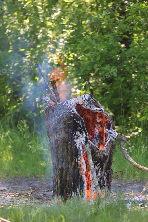 Preview: Boorning Wood On Campfire Place In Forest