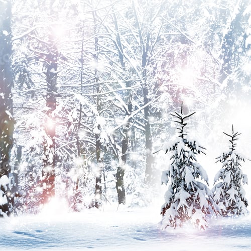 Visualização: Inverno. Queda de neve.