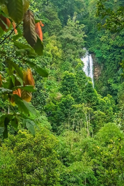 Preview: Small Waterfall In The Dense Jungle Of The Tropical Island Of Lombok, Indonesia