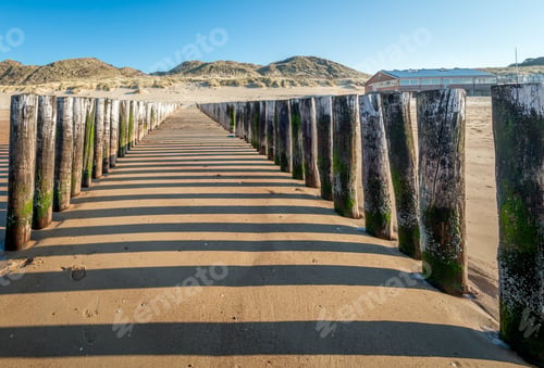 Preview: Breakwater Of Two Rows Of Wooden Poles At The Dutch North Sea Coast Seen From The Sea Side. The