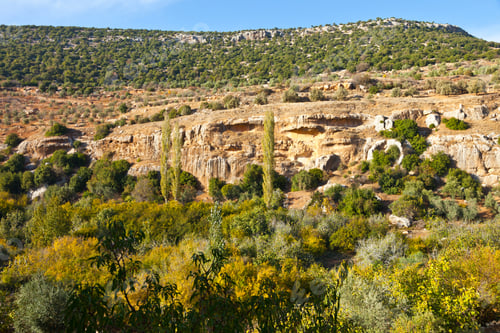 Preview: Ajloun Valley Landscape In Jordan In The Middle East Of Asia