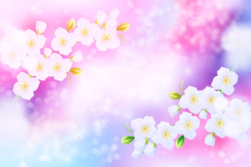 Preview: Natural Floral Background. Colorful Spring Jasmine Flowers