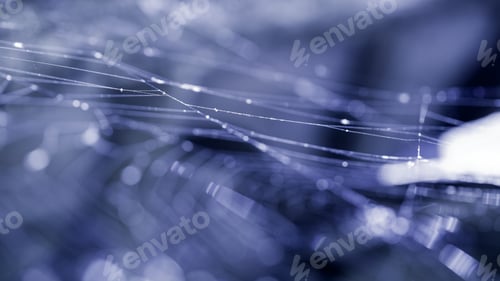 Preview: Abstract Composition With Spider Web Details