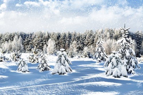 Preview: Winter Forest. Winter Landscape.