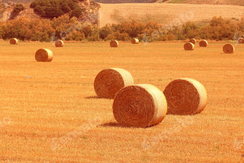 Preview: Harvest Time In Italy Countryside - Hay Bales On A Field In Basilicata Region. Retro Filter Colors