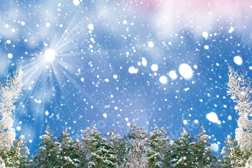 Preview: Frozen Winter Forest With Snow Covered Trees. Outdoor