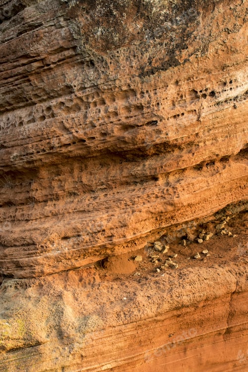 Preview: Sedimentary Rock