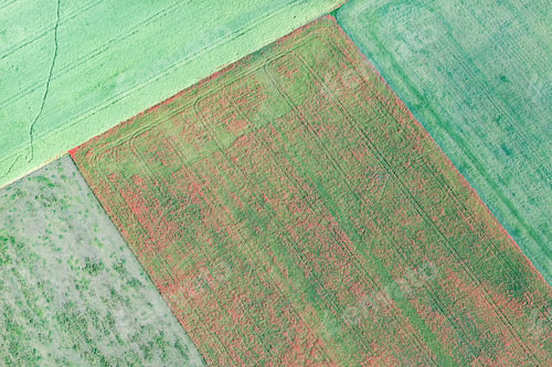 Preview: Aerial View Over The Rural Fields