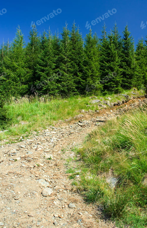 Preview: Road Covered With Stones In Mountain Scenery