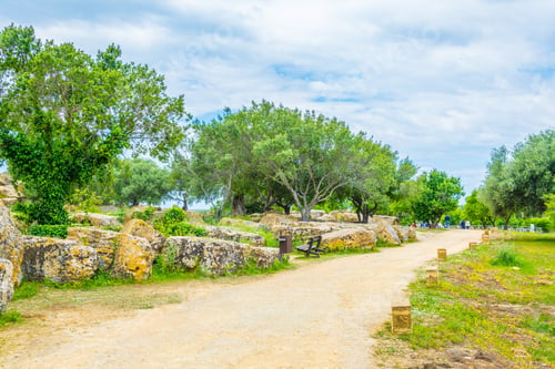 Preview: View Of Ruins Of The Temple Of Zeus In The Valley Of Temples Near Agrigento In Sicily, Italy