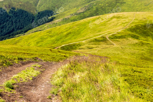 Preview: Hillside Path Trough The Meadow In Mountains