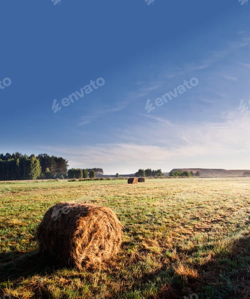 Preview: Bales Of Hay At Sunrise. Foggy Meadow