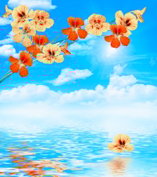 Preview: Branch Nasturtium Flowers On A Background Of Blue Sky With Clouds