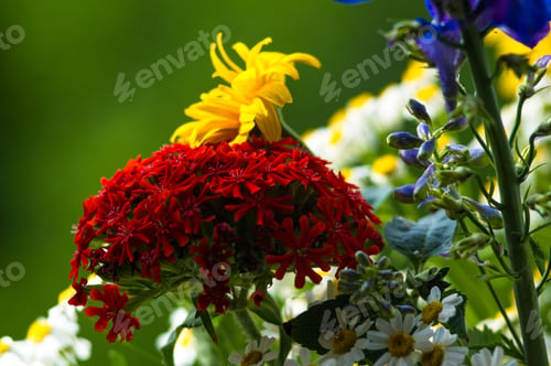 Preview: A Bouquet Of Bright Spring Flowers Of Various Types