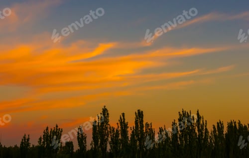 Preview: Landscape With Dramatic Light - Orange Clouds And The Outline Of Trees At Sunset