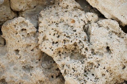 Preview: Pobiti Kamani (The Stone Desert), A Desert-Like Rock Phenomenon Located On The North West Varna