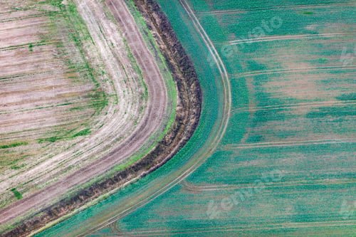Preview: Aerial View Over The Colourful Trees And Fields In Autumn