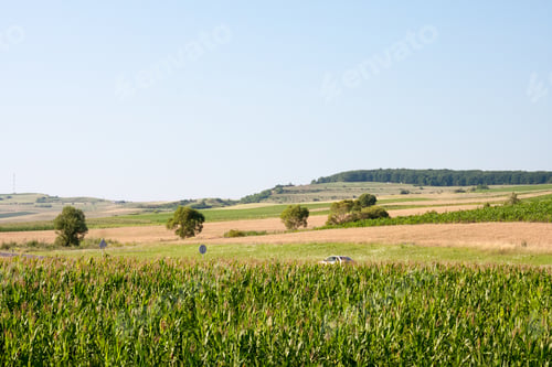 Preview: Mountain Landscape In Maramures, Romania