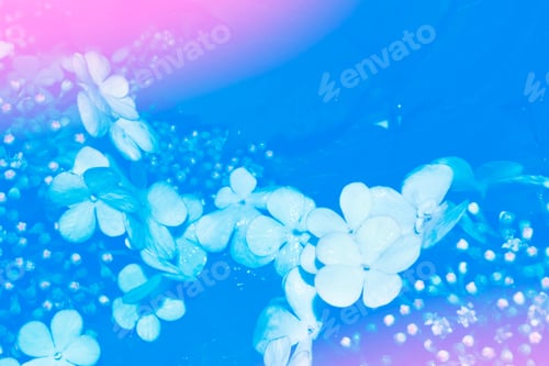 Preview: Blossoming Branch Viburnum. Bright Colorful Spring Flowers. Beautiful Nature Scene