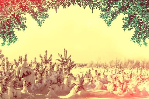 Preview: Frozen Winter Forest With Snow Covered Trees. Outdoor
