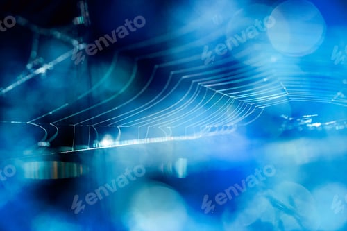 Preview: Abstract Composition With Spider Web Details And Natural Colors