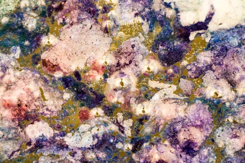 Preview: Abstract Composition With Mix Of Oil, Water And Colorful Ink. Pollution Concept