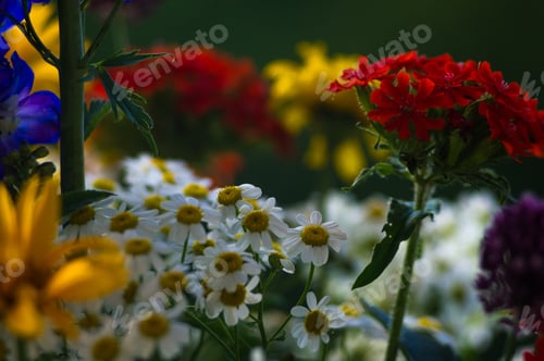 Preview: A Bouquet Of Bright Spring Flowers Of Various Types